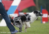 Fantom
HSV Amersfoort 14 juni 2008